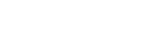SHHI · Strategic Hub Holdings International